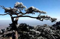 ̩ɽ������